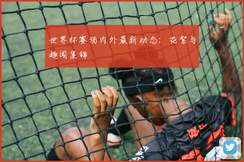 世界杯赛场内外最新动态：花絮与趣闻集锦