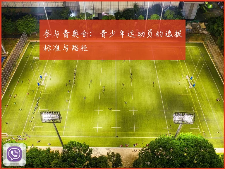 参与青奥会:青少年运动员的选拔标准与路径
