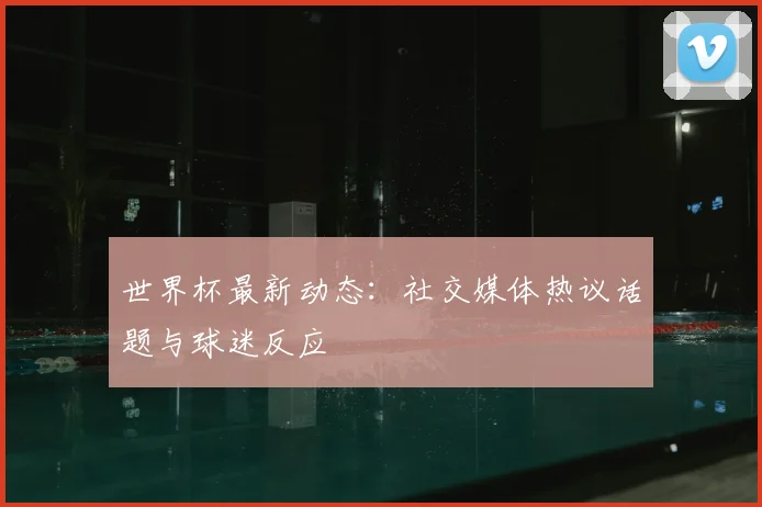 世界杯最新动态：社交媒体热议话题与球迷反应