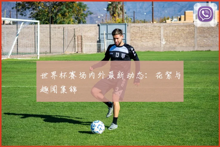 世界杯赛场内外最新动态：花絮与趣闻集锦