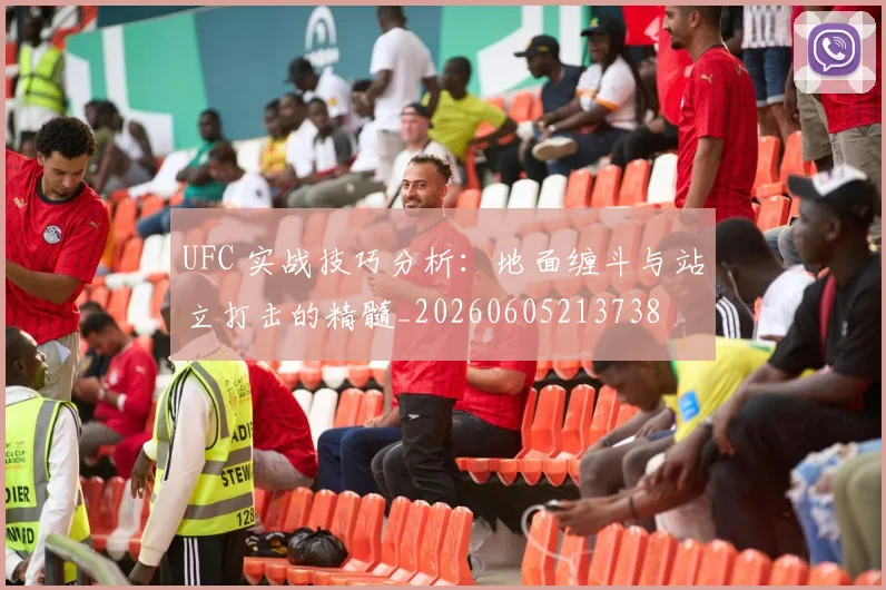 UFC 实战技巧分析:地面缠斗与站立打击的精髓_20260605213738