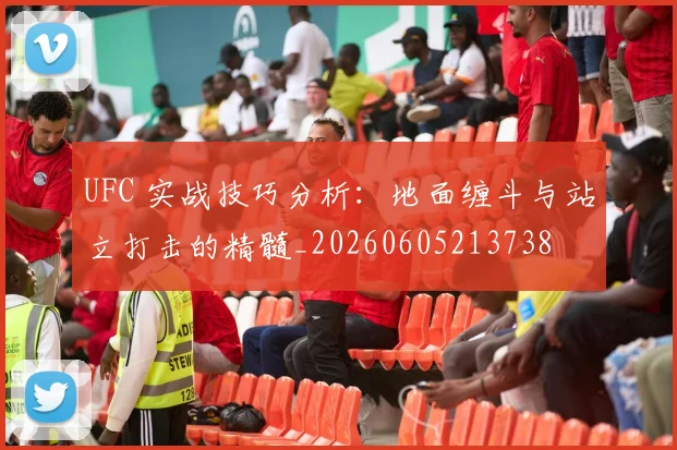 UFC 实战技巧分析：地面缠斗与站立打击的精髓_20260605213738
