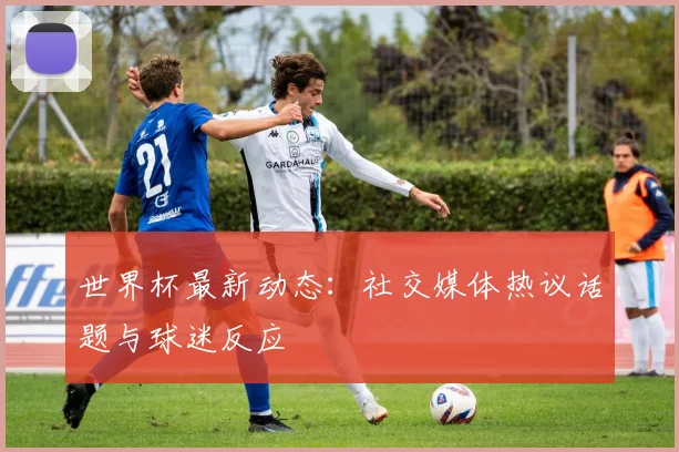 世界杯最新动态:社交媒体热议话题与球迷反应